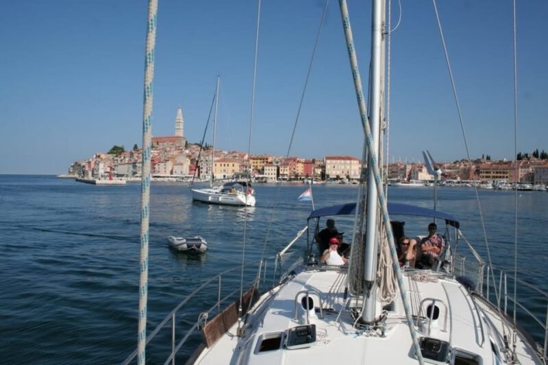 Vrsar: Dolphin Watching and Sightseeing Private Day Cruise - Capacity and Options