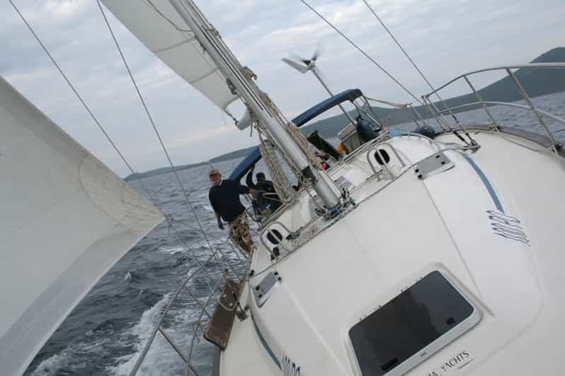 Vrsar: Dolphin Watching and Sightseeing Private Day Cruise - Inclusions and Flexibility