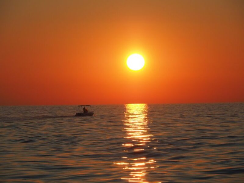 Vrsar: Dolphin Watching Boat Ride - Dolphin Watching Highlights