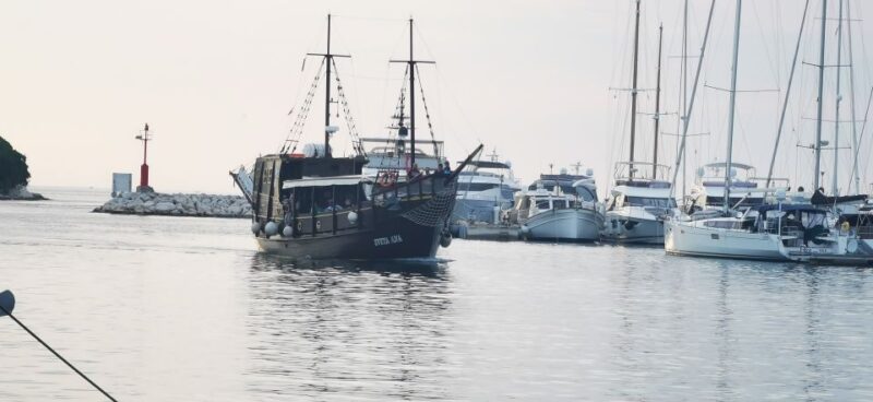 Vrsar: Dolphin Watching Boat Ride - Panoramic Views and Complimentary Drinks