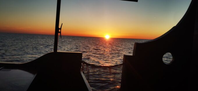 Vrsar: Dolphin Watching Boat Ride - Additional Information and Recommendations