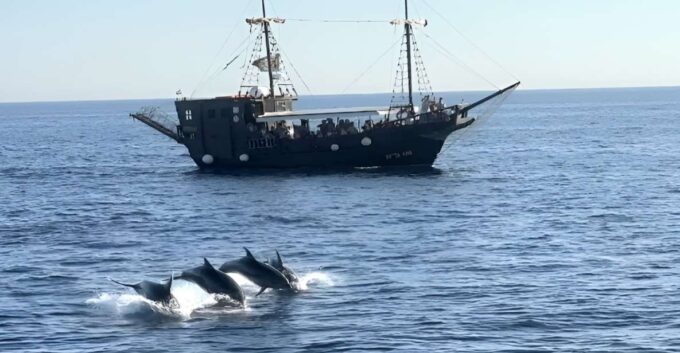 Vrsar: Dolphin Watching Boat Ride - Frequently Asked Questions