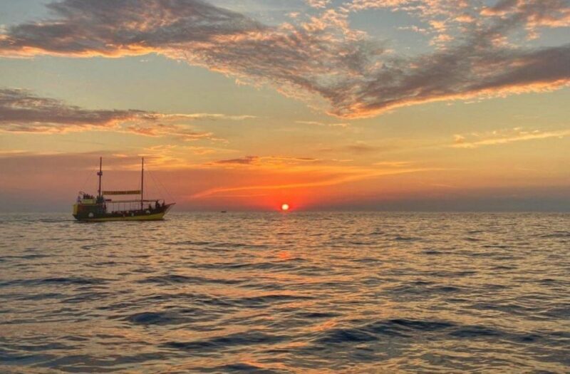 Vrsar: Dolphin Watching Boat Tour Including Drinks - Highlights of the Experience
