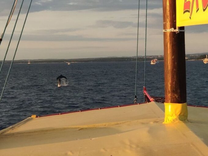 Vrsar: Dolphin Watching Boat Tour Including Drinks - Onboard Dining and Refreshments
