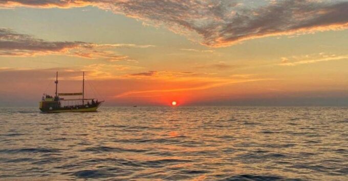 Vrsar: Dolphin Watching Boat Tour Including Drinks - Customer Feedback and Booking