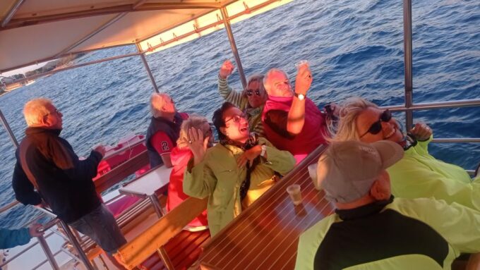 Vrsar: Dolphin Watching Boat Tour Including Drinks - What to Bring