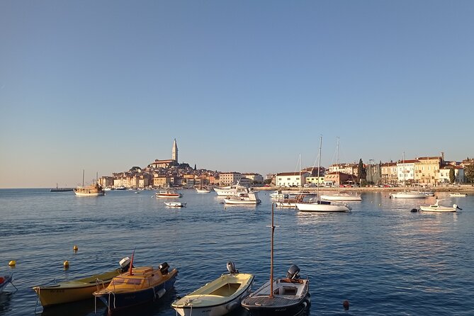 Vrsar, Lim Fjord and Rovinj Day Tour by Boat With Drinks - Itinerary and Activities