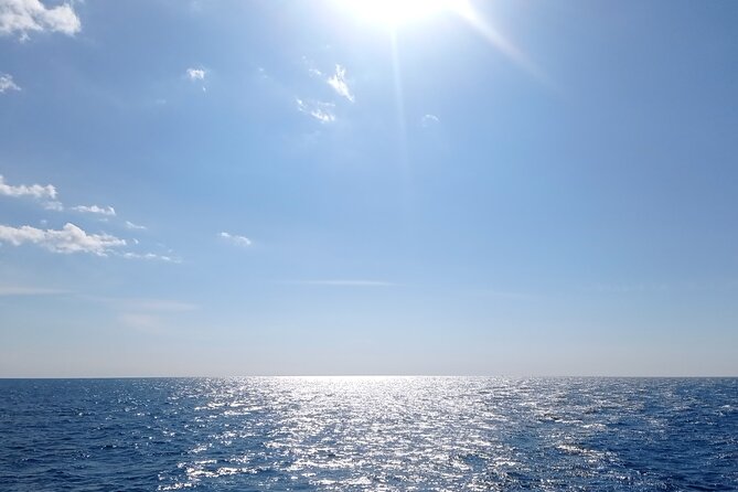 Vrsar, Lim Fjord and Rovinj Day Tour by Boat With Drinks - Additional Information
