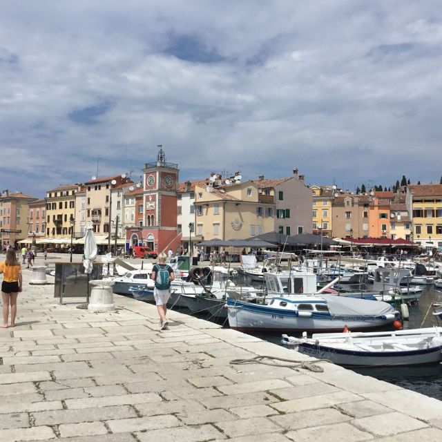 Vrsar: Lim Fjord - Rovinj Fish Picnic - Good To Know