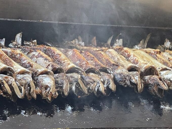 Vrsar: Lim Fjord - Rovinj Fish Picnic - Languages Available