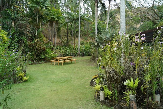 Vuda Lookout, Vesisei Village, Market, Temple & Garden of Sleeping Giant Tour - Namaka Market