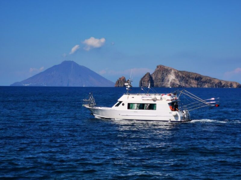 Vulcano, Panarea and Stromboli Full Day Tour From Lipari - Customer Reviews