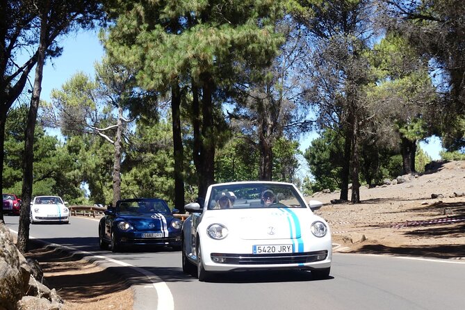 Vw Beetle Convertible Island Tour Discover the Island on a Different Way - Highlights of the Experience