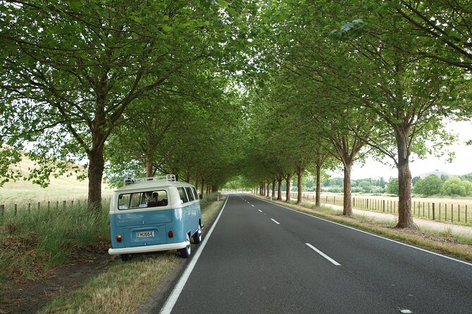 VW Kombi Napier/Hawkes Bay Scenic & Art Deco Tour - Review Highlights