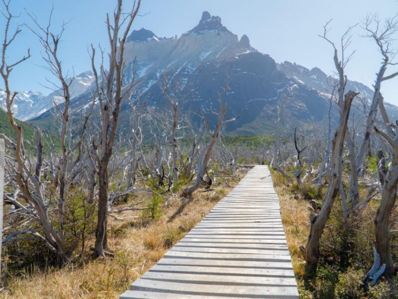 W Trekking - Inclusions and Exclusions