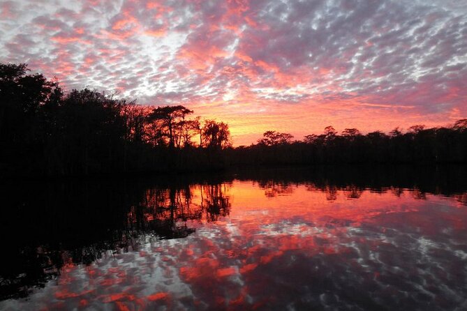 Waccamaw River Nature and Wildlife Tour - Planning Your Waccamaw River Adventure