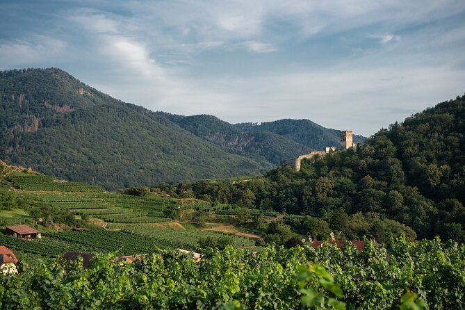 Wachau Valley Vines: A Culinary and Cultural Private Experience - Uncover the Regions History