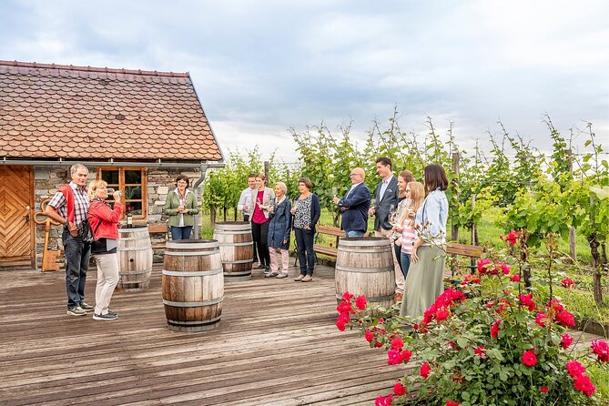 Wachau Valley Vines: A Culinary and Cultural Private Experience - Personalized Private Tour Experience