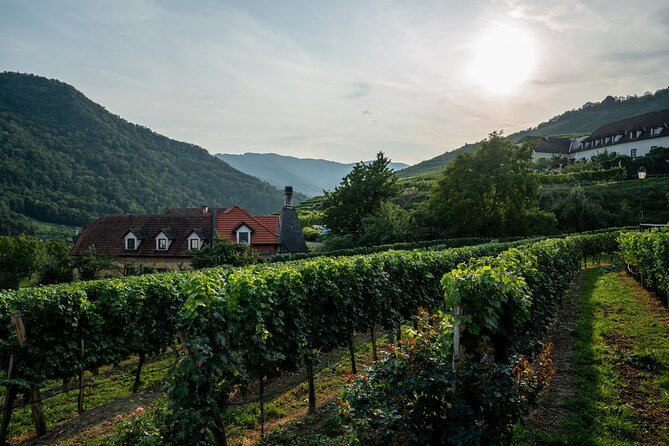 Wachau Valley Vines: A Culinary and Cultural Private Experience - Frequently Asked Questions