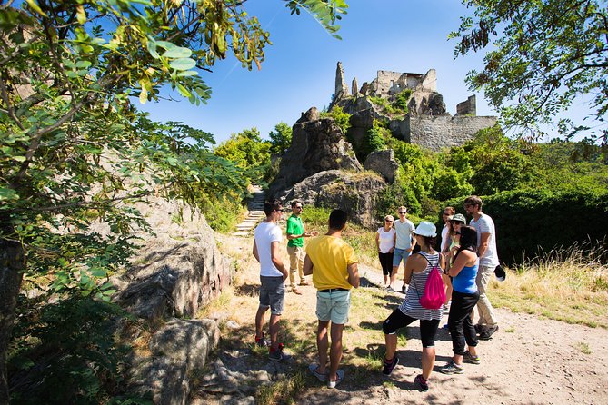 Wachau Valley Wine Tasting Bike Tour From Vienna - Wine Tastings and Samples