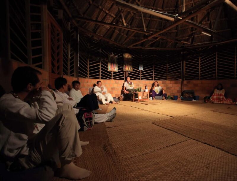 Wachuma (San Pedro) and Ayahuasca Retreats, 7 Days - Medicinal Plants
