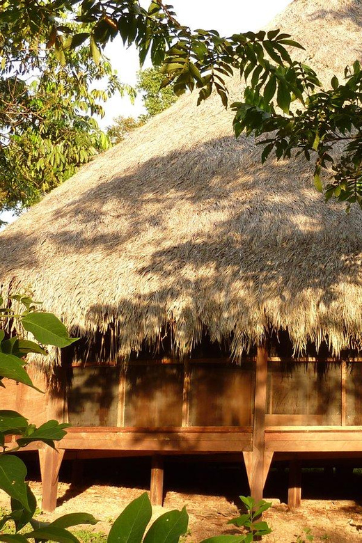 Wachuma (San Pedro) and Ayahuasca Retreats, 7 Days - Daily Routine