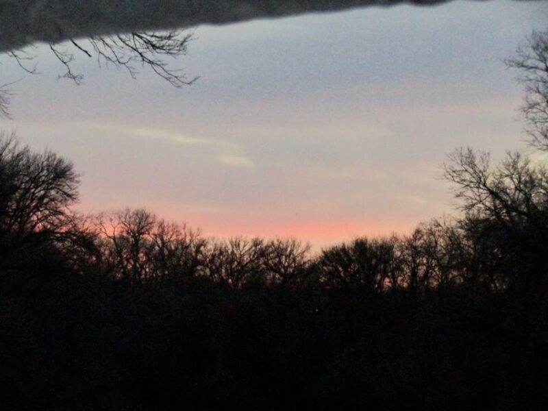 Waco: Brazos River Boating Adventure - Meeting Point and Reviews