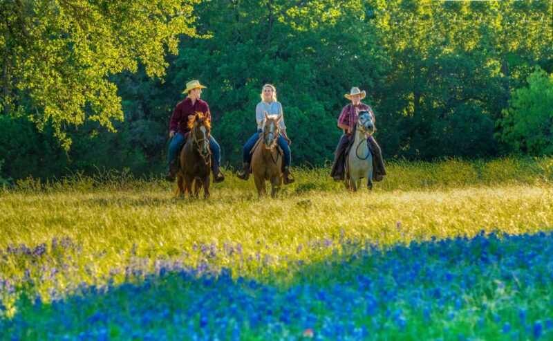 Waco: Horseback Riding Tour With Cowboy Guide - Experience Highlights