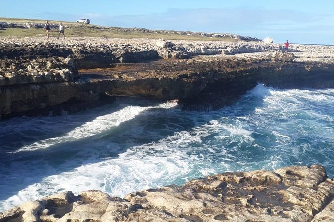 Wadadli Sensations and Stingrays - Exploring the Five Islands Village