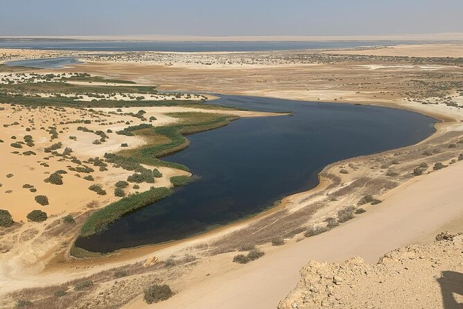 Wadi Al Hitan Day Trip From Cairo - Key Points