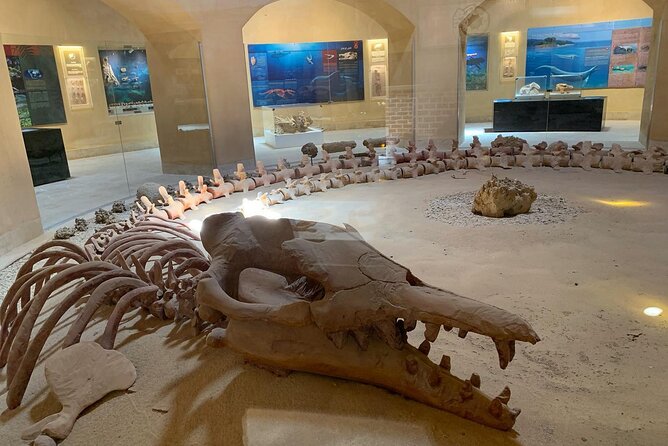 Wadi Al Hitan Day Trip From Cairo - Transportation and Pickup Details