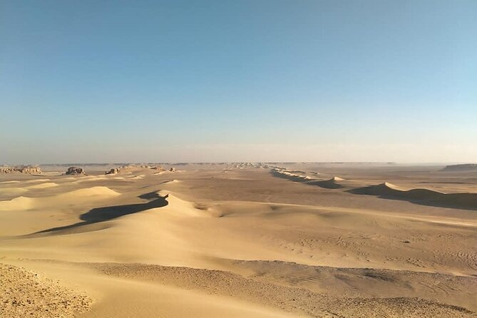 Wadi Al Hitan Day Trip From Cairo - Tour Inclusions and Amenities