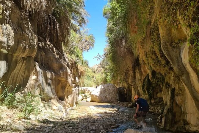 Wadi Hora and Wadi Bin Hammad Canyoning Adventure - Scenic Highlights and Local Flora