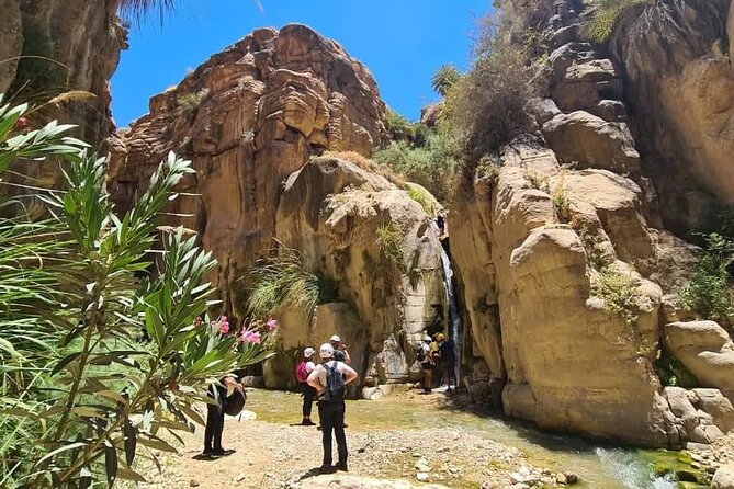 Wadi Hora and Wadi Bin Hammad Canyoning Adventure - Participant Feedback and Recommendations