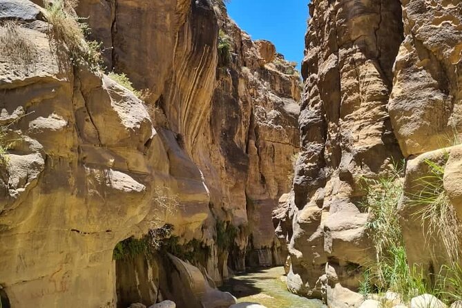 Wadi Hora and Wadi Bin Hammad Canyoning Adventure - Health and Safety Considerations