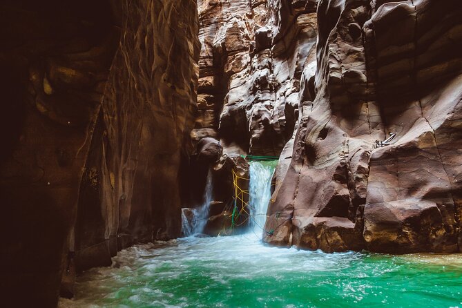 Wadi Mujib Siq Trail With Amman Panoramic&Optional Dead Sea Visit - Wildlife Spotting Opportunities