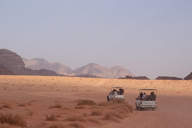 Wadi Rum: 4 Hour Highlights Tour - Key Points