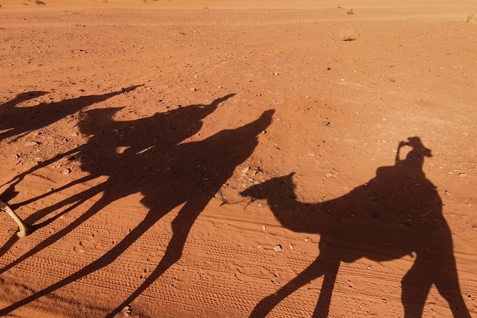 Wadi Rum: Camel Trek Adventure - Inclusions in the Tour Package