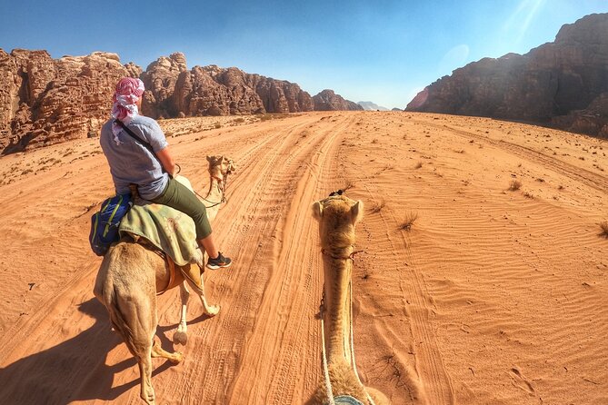 Wadi Rum: Camel Trek Adventure - Meeting Point and Pickup Location