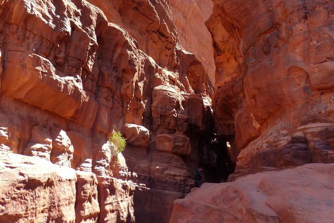 Wadi Rum: Camel Trek Adventure - Exploring the Desert on Camelback
