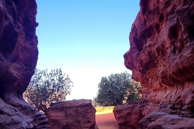 Wadi Rum Full Day Jeep Tour + Overnight & Dinner in Bedouin Camp - Reviews and Ratings