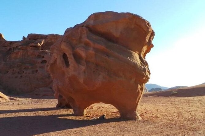 Wadi Rum Full-Day Private Tour From Amman or Airport - Accessibility Features