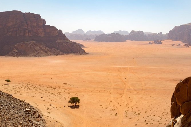 Wadi Rum: Full Day Valley Tour With Lunch - Tour Overview