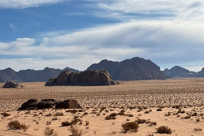 Wadi Rum Half-Day 4x4 and Camel Tour - Pricing and Cancellation