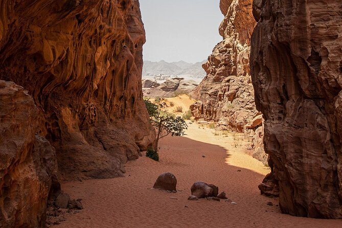 Wadi Rum Half-Day Desert Tour | Wadi Rum Desert - Cancellation Policy