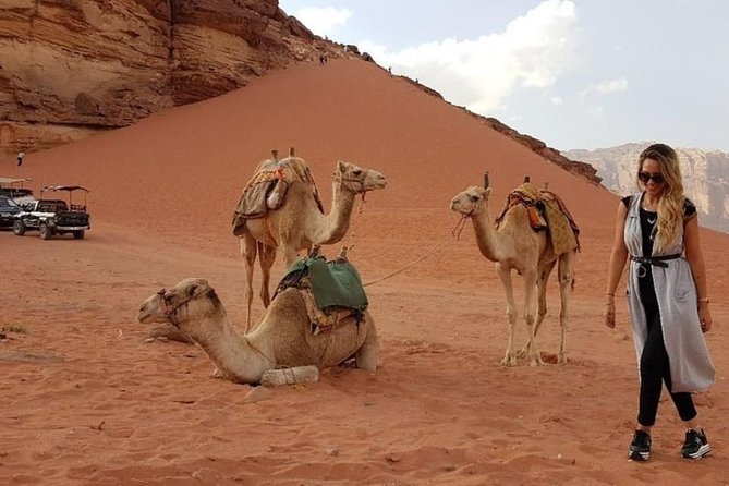 Wadi Rum Private Transfer to or From Amman or Airport - Accessibility Options