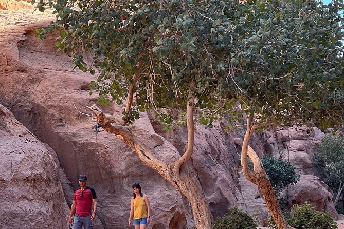 Wadi Rum Short Tours - Confirmation and Booking