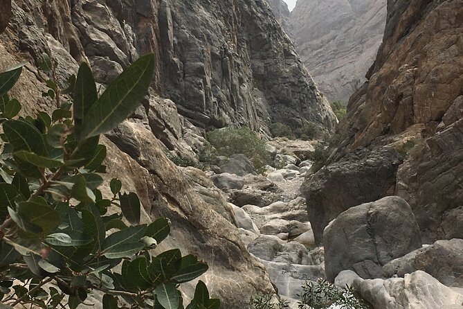 Wadi Shab and Bimmah Sinkhole Full Day Tour - Inclusions