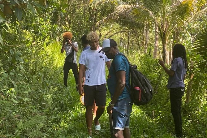 Wah Gwaann ATV Jungle Safari Tour in Montego Bay - Adventurous Safari Experience