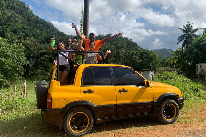 Wah Gwaann ATV Jungle Safari Tour in Montego Bay - Exploring the Lush Jungle